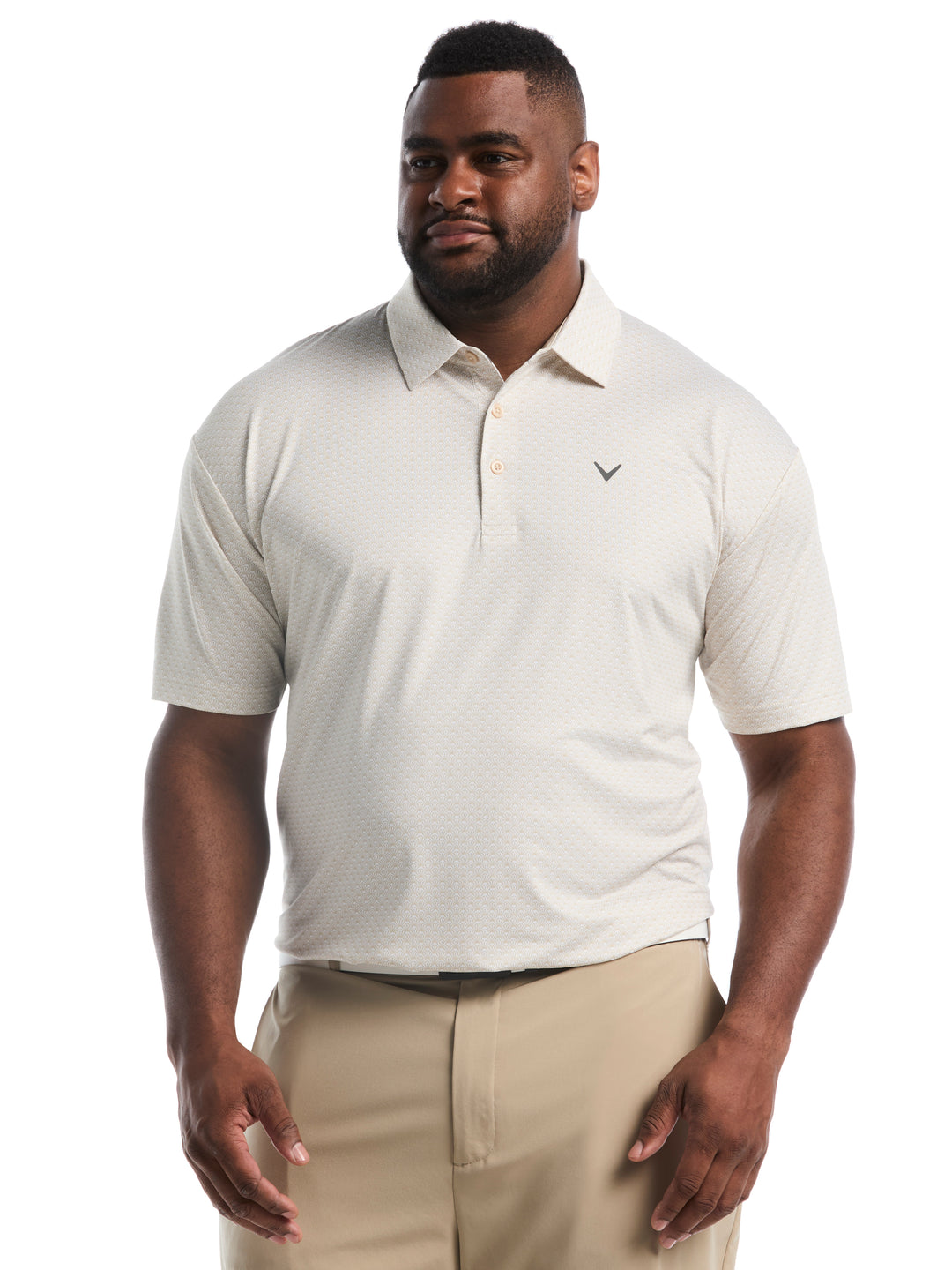 Big & Tall All-Over Tee Print Polo-Polos-Fields Of Rye-1X-Callaway