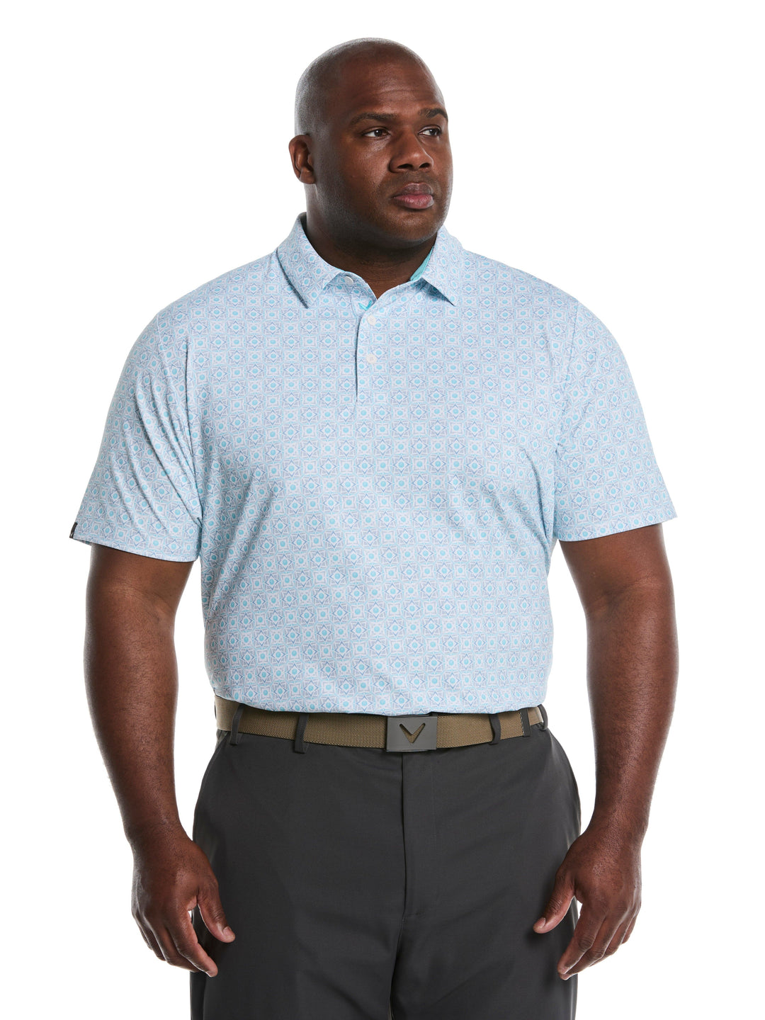 Big & Tall Golf Foulard Print Golf Polo (Blue Radiance) 