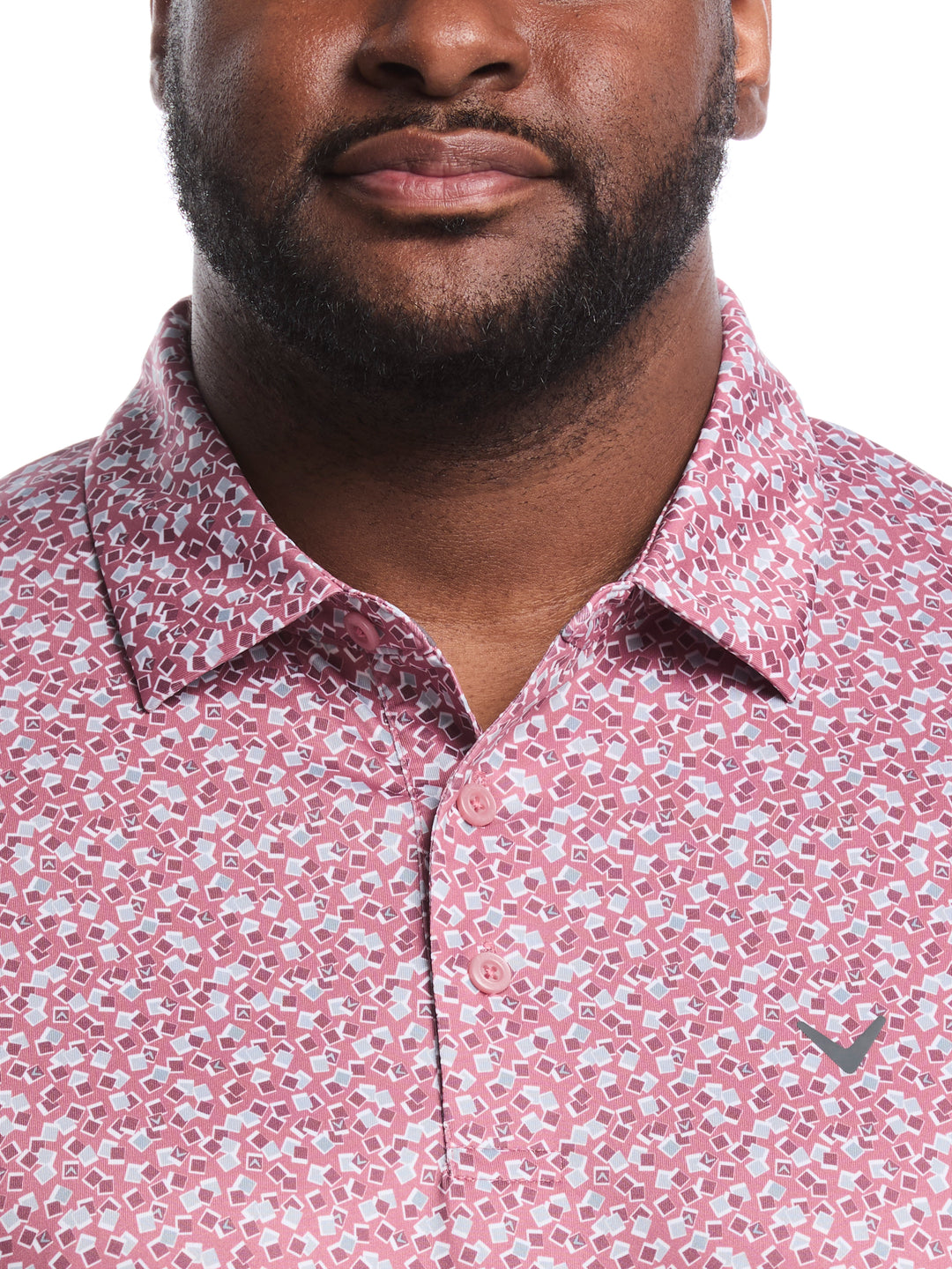 Big & Tall Polaroid Confetti Print Polo (Mesa Rose) 