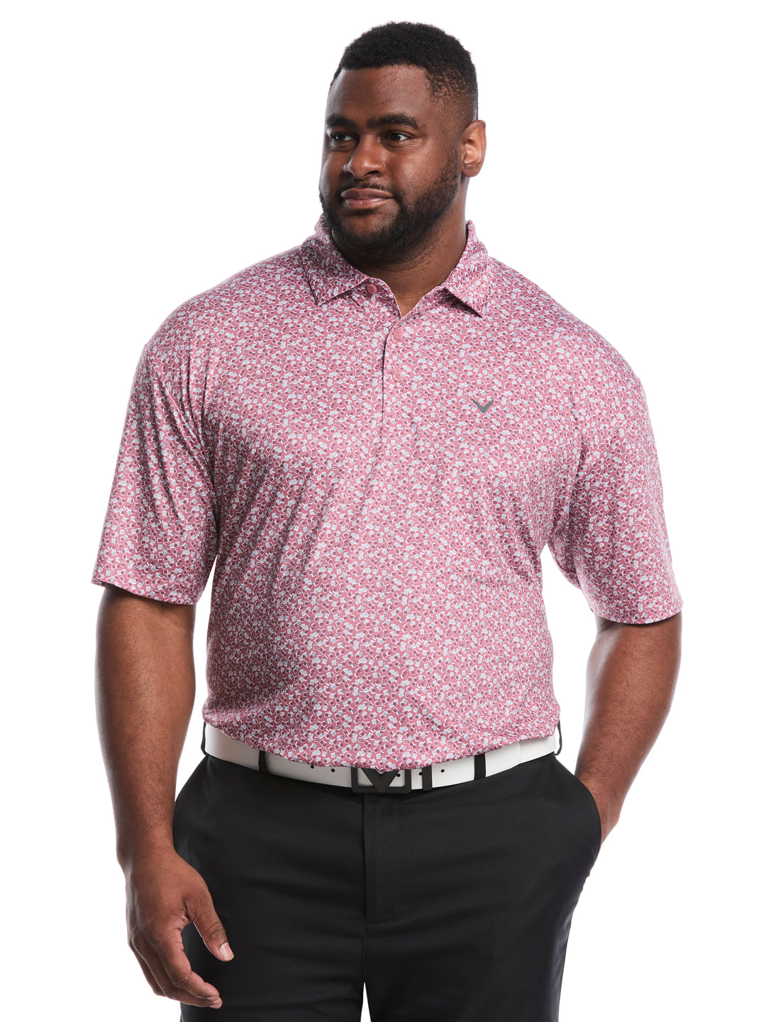 Big & Tall Polaroid Confetti Print Polo (Mesa Rose) 