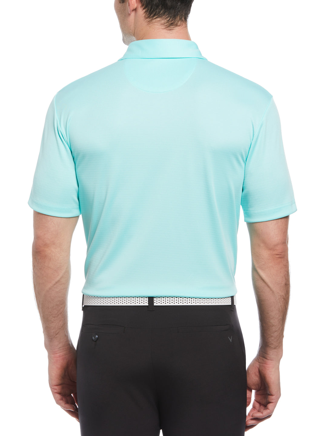 MicroTexture Golf Polo (Aruba Blue) 