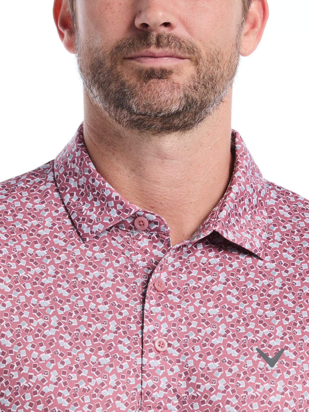 Big & Tall Polaroid Confetti Print Polo (Mesa Rose) 