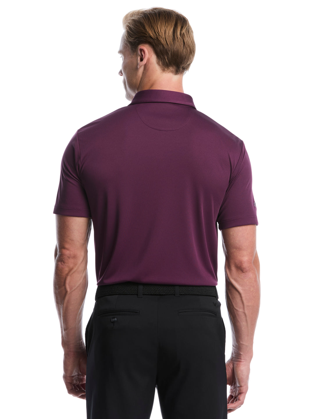 Men's Solid Polo Shirt (Italian Plum) 