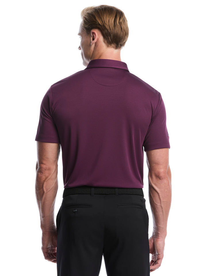 Men's Solid Polo Shirt (Italian Plum) 