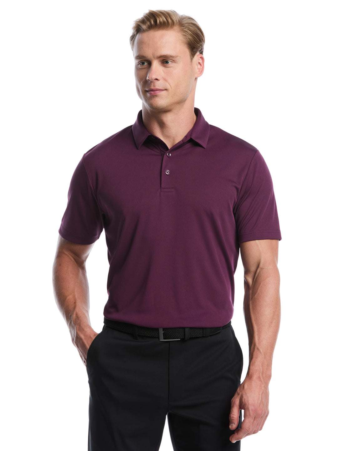 Men's Solid Polo Shirt (Italian Plum) 