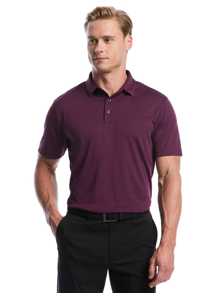 Men's Solid Polo Shirt (Italian Plum) 